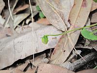 IMG 9028