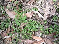 IMG 9034